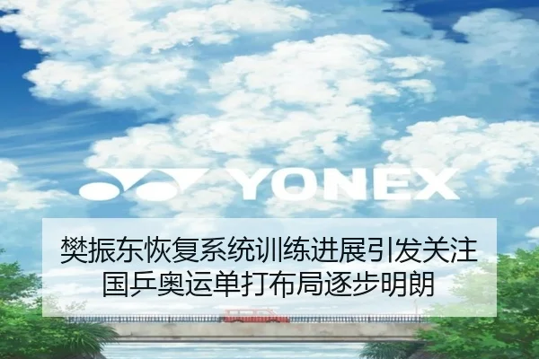 樊振东恢复系统训练进展引发关注 国乒奥运单打布局逐步明朗